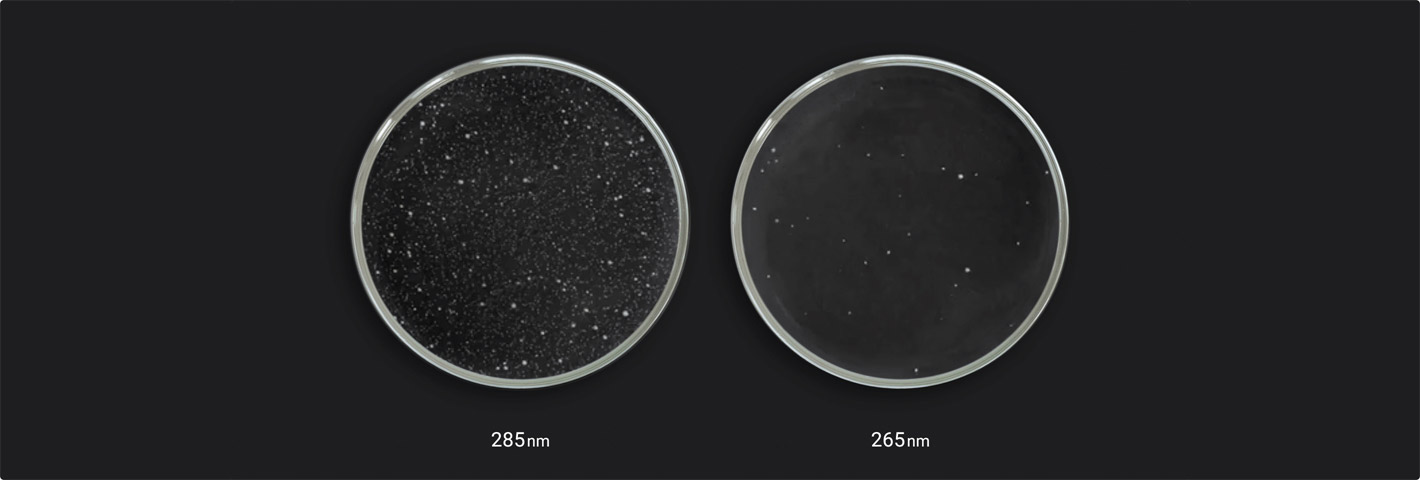 How UV-C effect for disinfection?